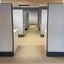 a line of gray and modern wood tayco cubicles in an open office setting 